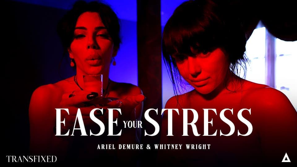 Transfixed Smooths Out the Kinks in “Ease Your Stress”.