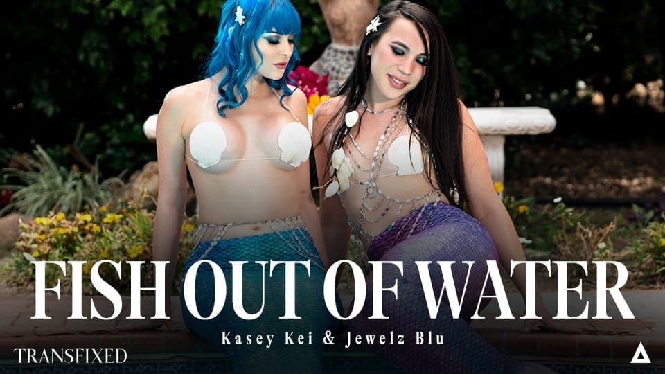 Transfixed Takes a Dip into Desire with “Fish Out of Water”.