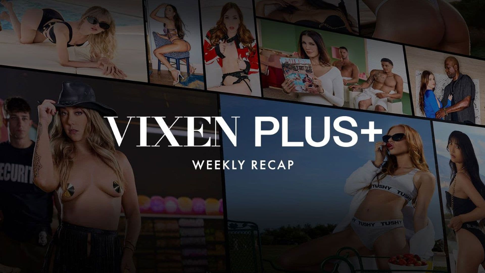 Holly Molly, Amber Moore, Emiri Momota Headline At Vixen Plus